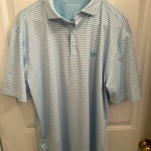 Light Blue Striped Polo Shirt for Men